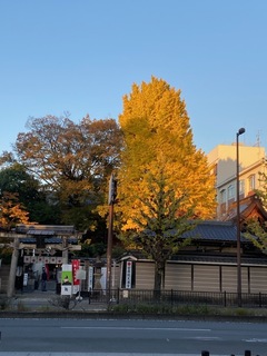 IMG_4030.jpg